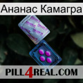 Ананас Камагра 37